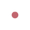 2937767 dot