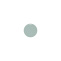 2937769 dot