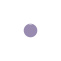 2937772 dot