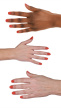 29807348 hand